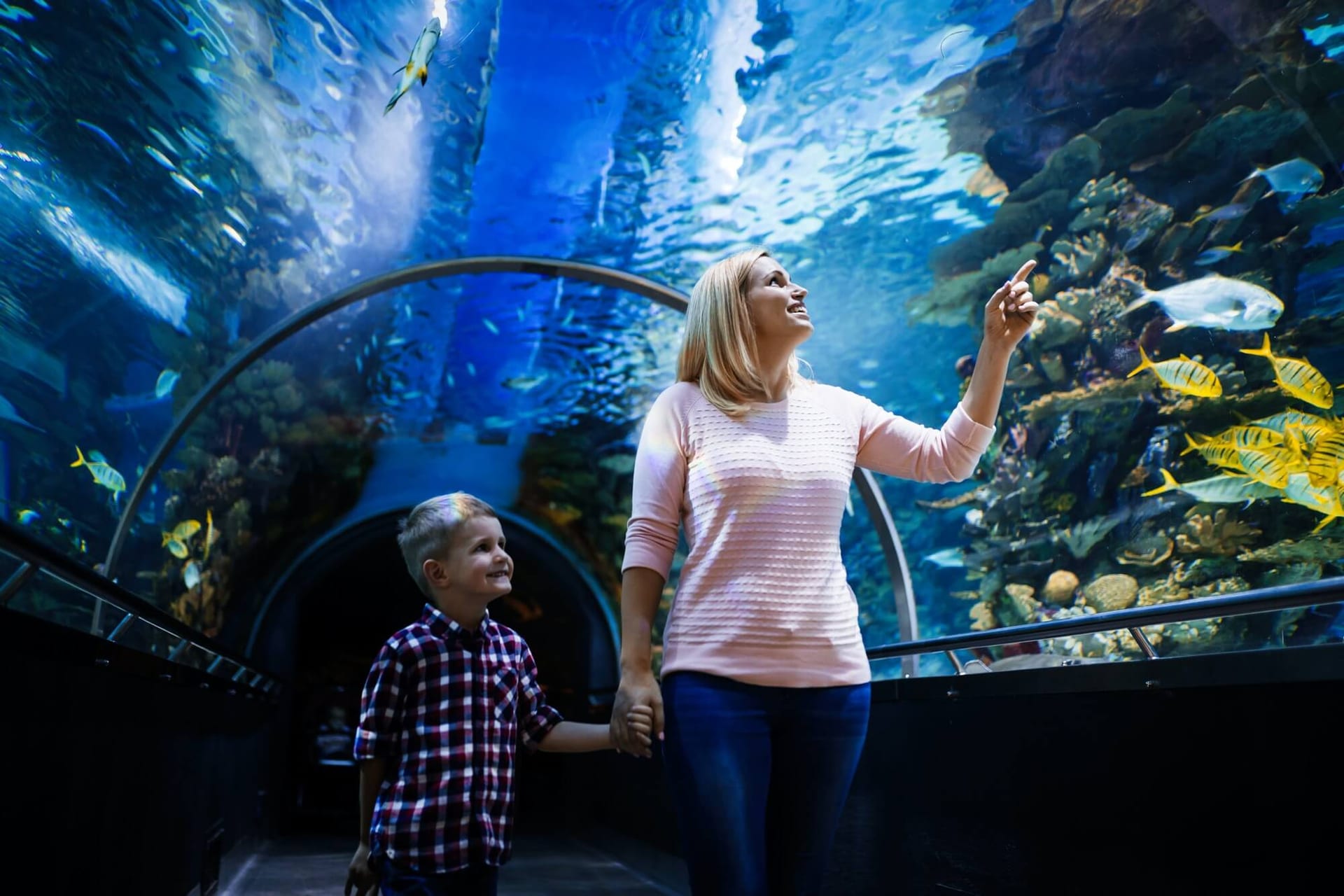 Túnel de vidro do AquaFoz, com visitantes